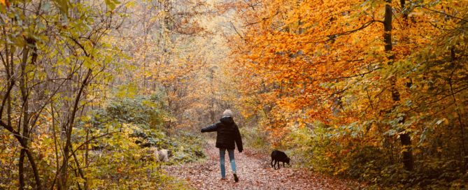 fall walking with arthritis and joint pain
