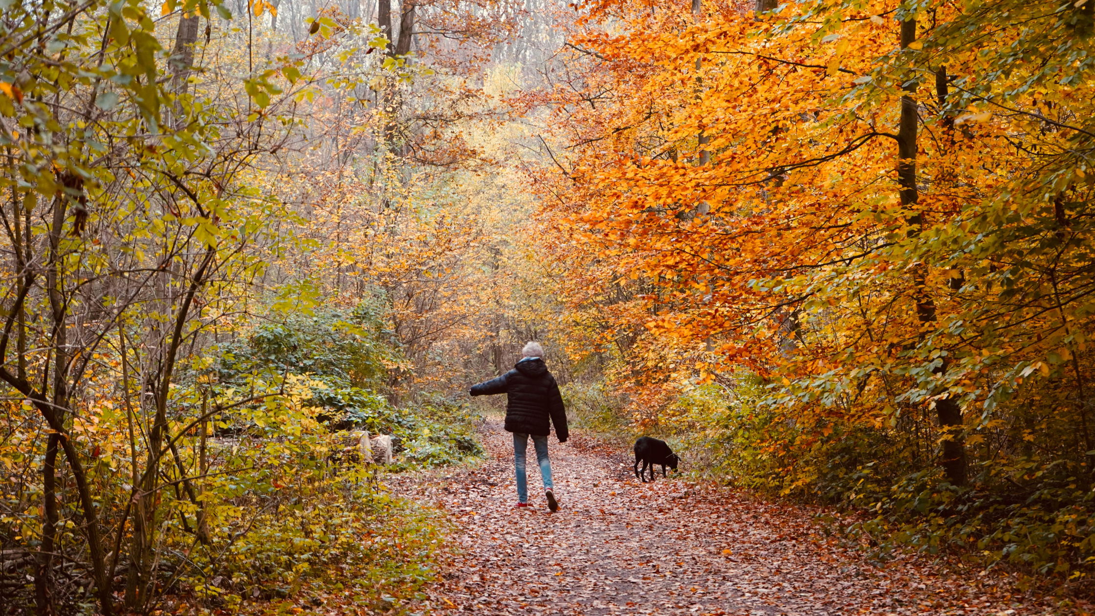 fall walking with arthritis and joint pain